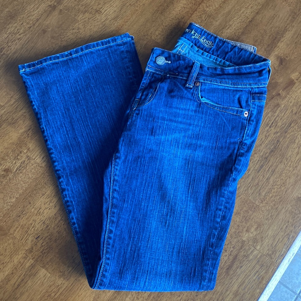 AE Artist Jeans